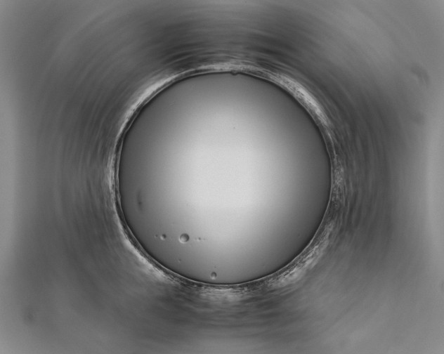 X0000112370855200908271317