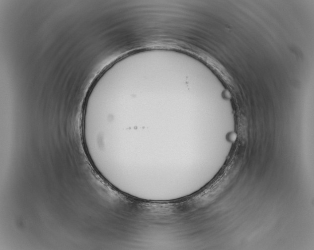 X0000112370856200908271317