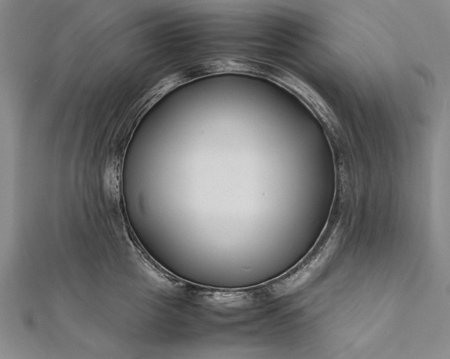 X0000112370857200908271317