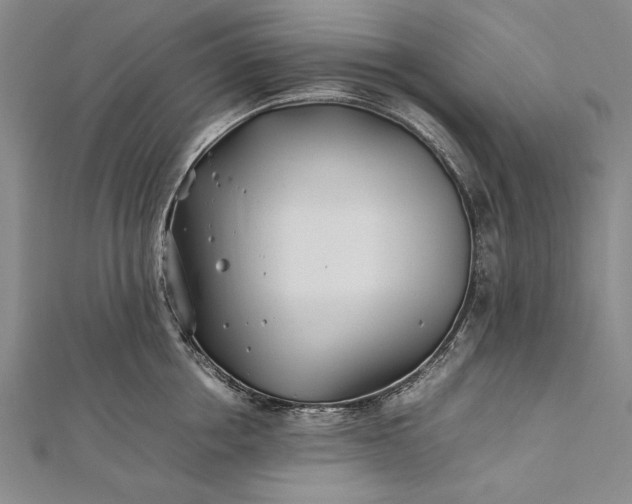 X0000112370858200908271317