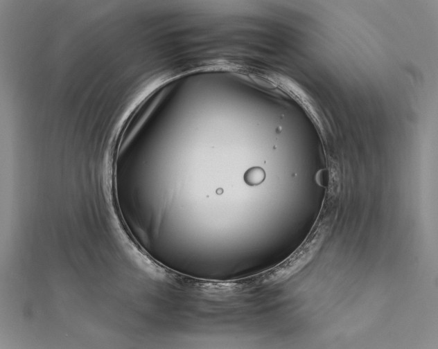 X0000112370859200908271317