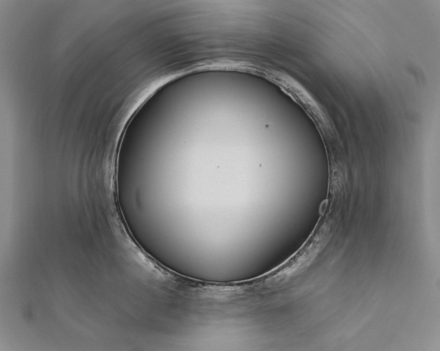 X0000112370860200908271317