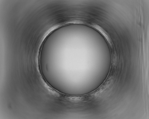 X0000112370861200908271317