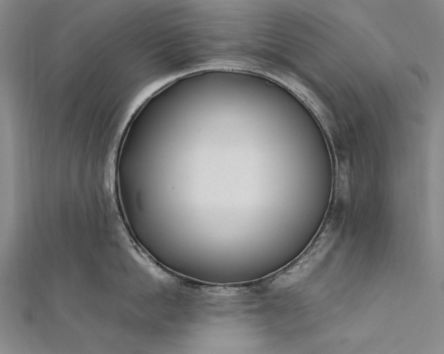 X0000112370862200908271317