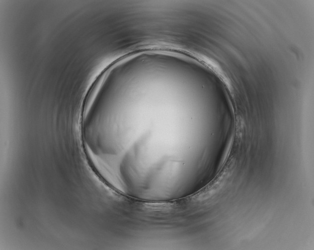 X0000112370863200908271317