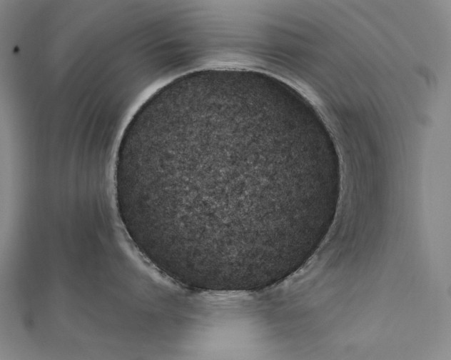 X0000112370864200908271317