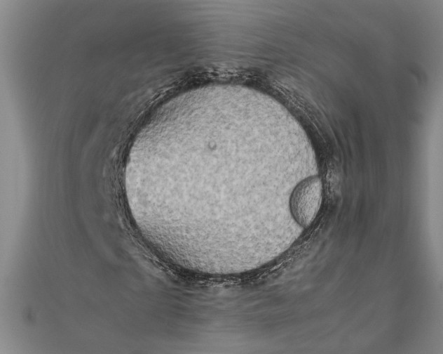 X0000112370865200908271316