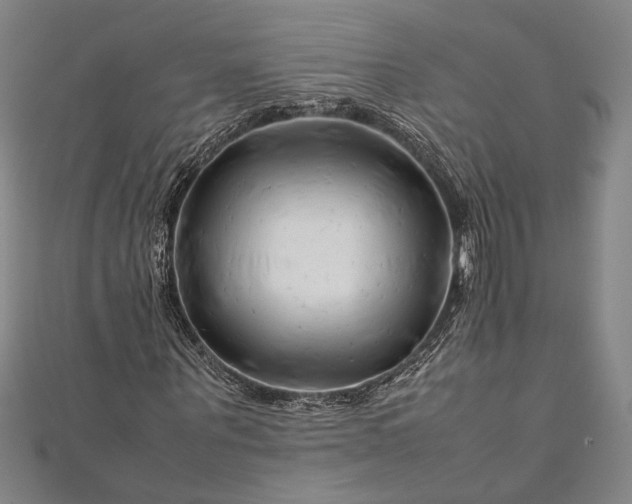 X0000112370867200908271316