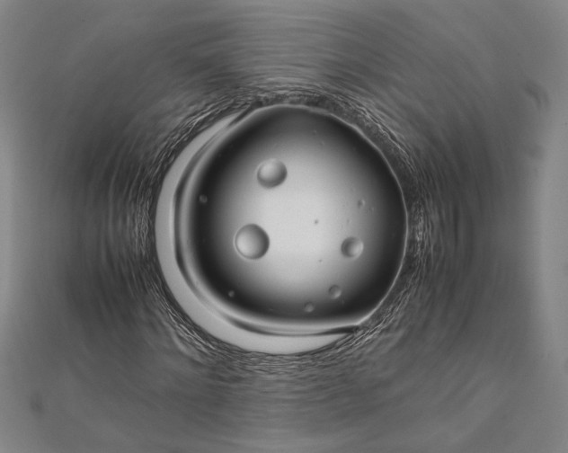 X0000112370868200908271316