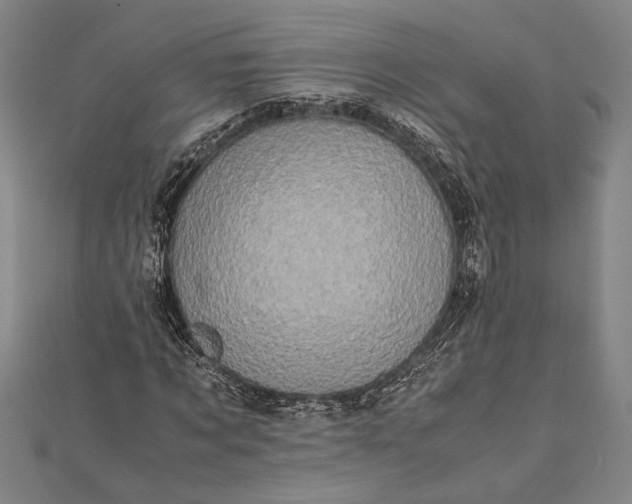 X0000112370869200908271316