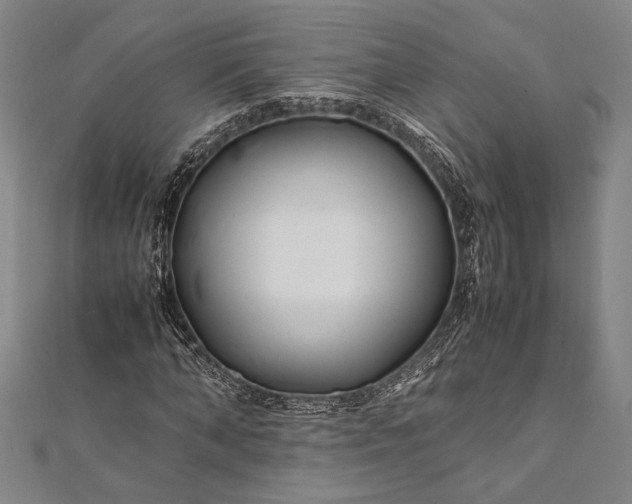 X0000112370870200908271316