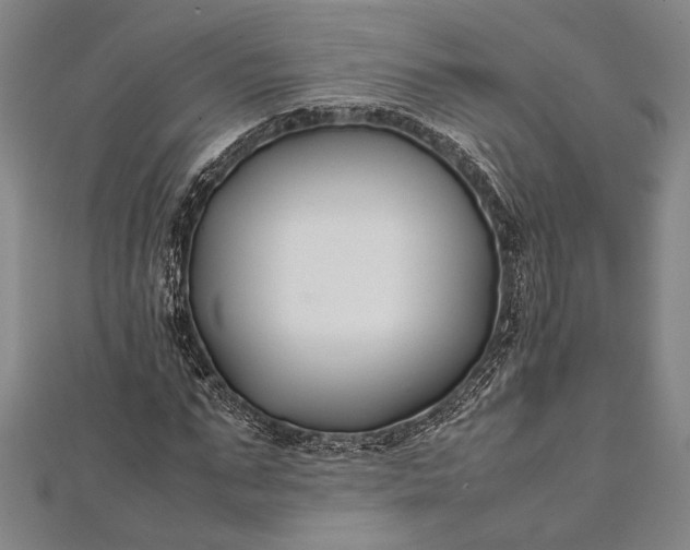 X0000112370871200908271316