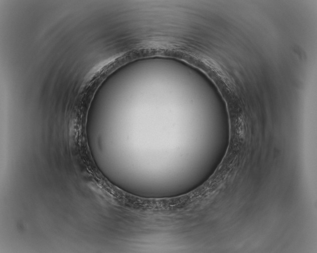 X0000112370872200908271316