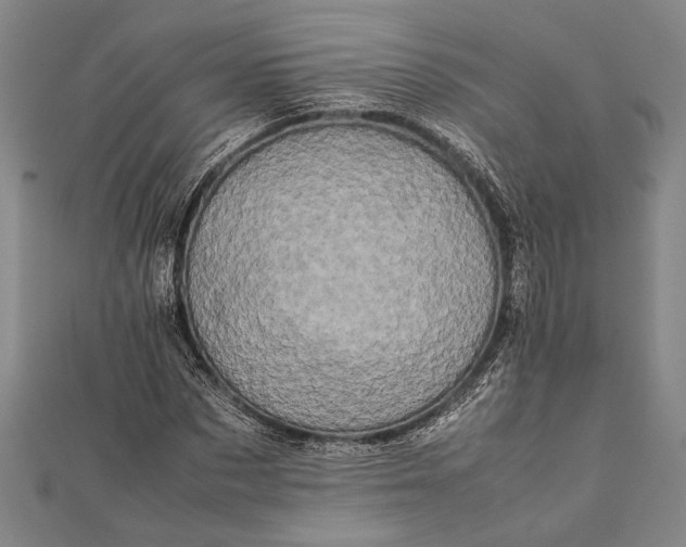 X0000112370873200908271316