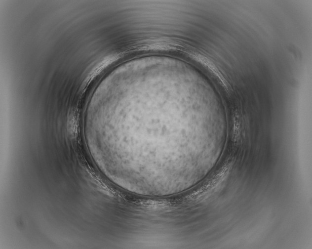 X0000112370874200908271316