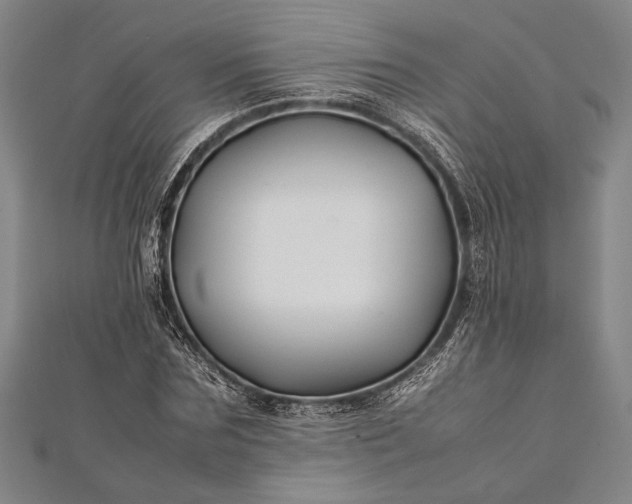 X0000112370875200908271316