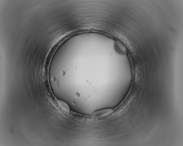 X0000112370876200908271316