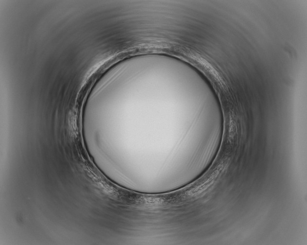 X0000112370878200908271316