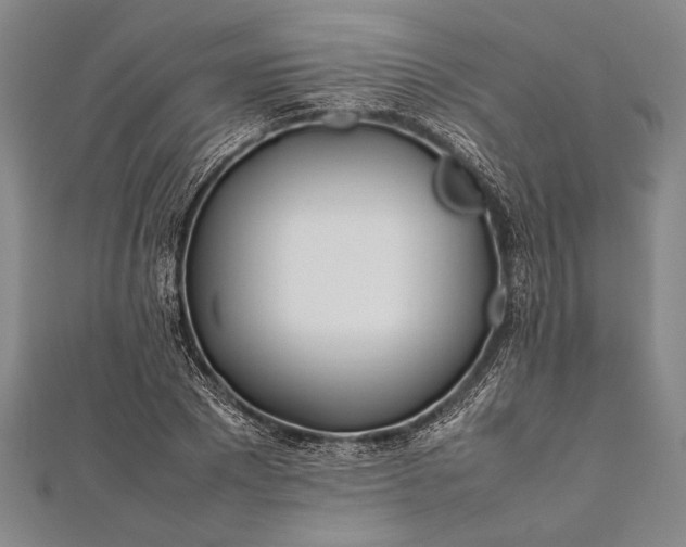 X0000112370881200908271316