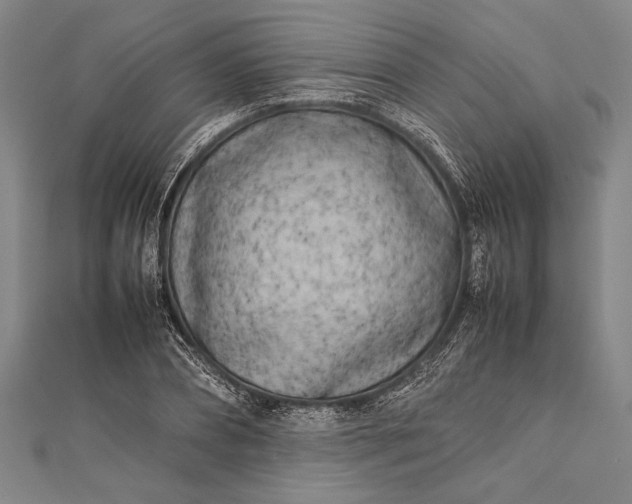 X0000112370882200908271316