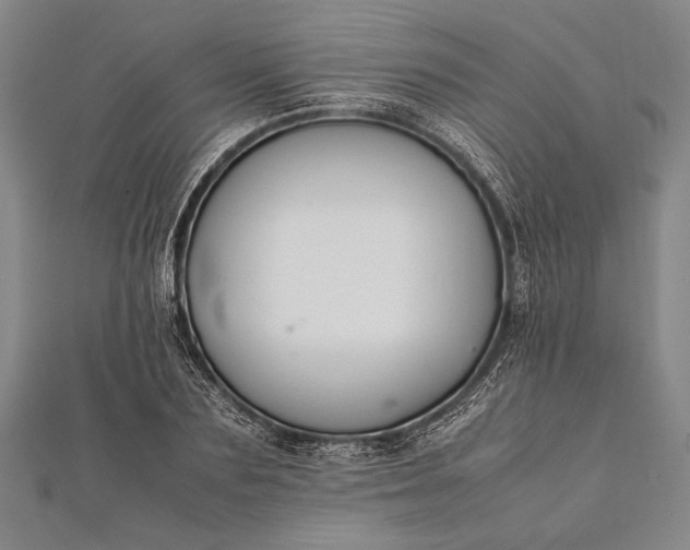 X0000112370883200908271316