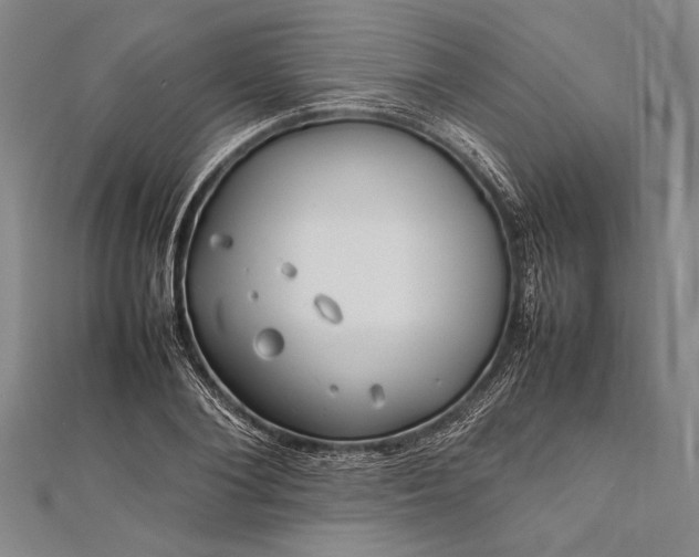 X0000112370884200908271316