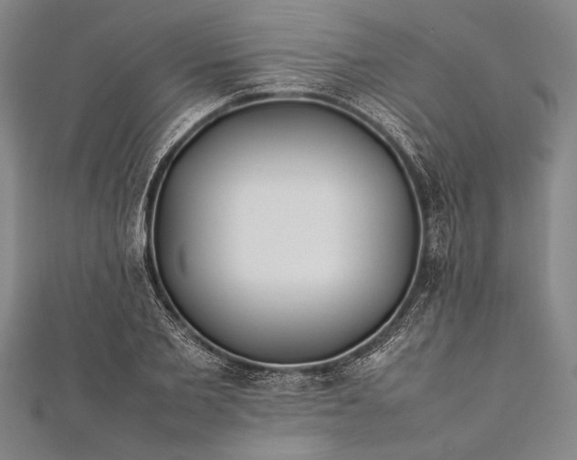 X0000112370885200908271316