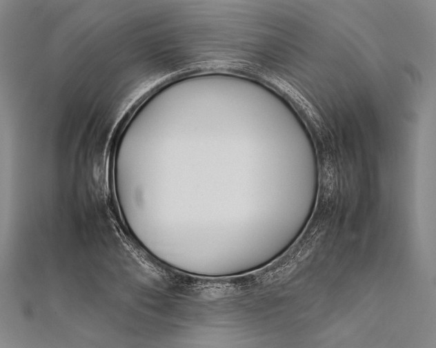 X0000112370886200908271316