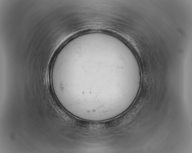 X0000112370887200908271315