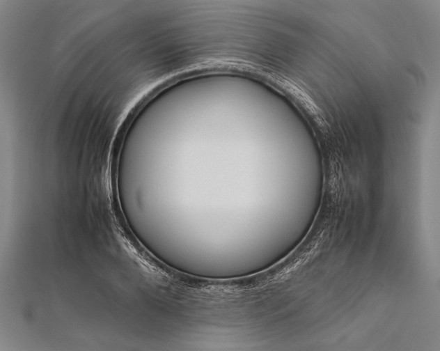 X0000112370888200908271315