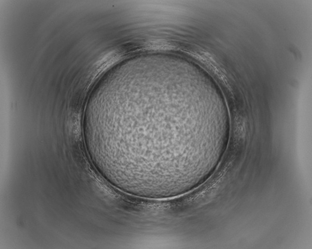 X0000112370889200908271315