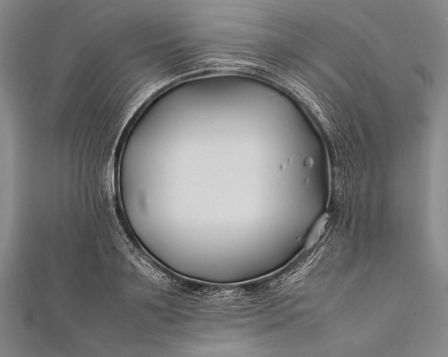 X0000112370891200908271315