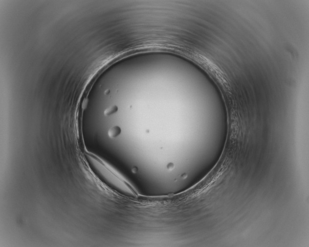 X0000112370892200908271315