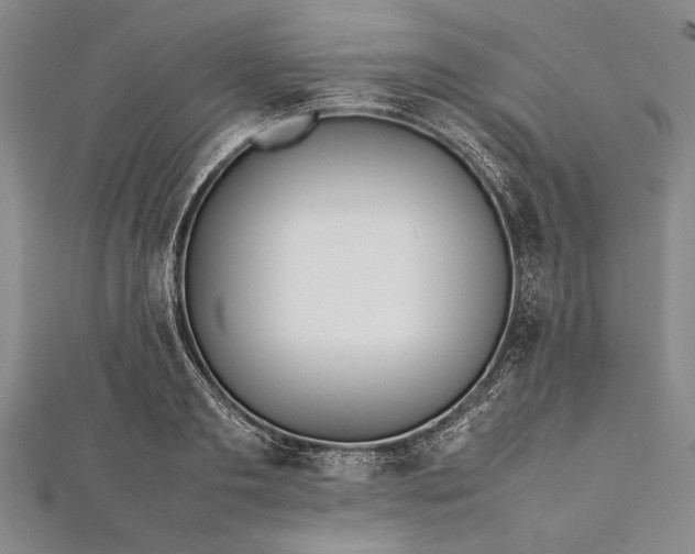 X0000112370893200908271315