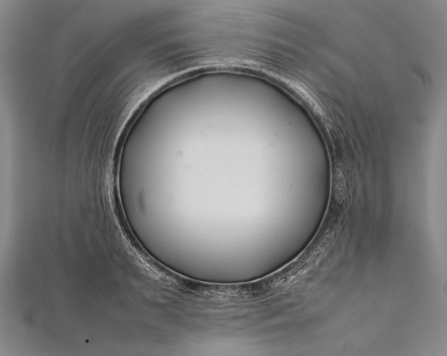 X0000112370895200908271315