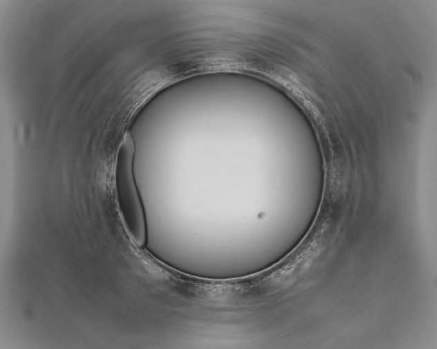 X0000112370897200908271315