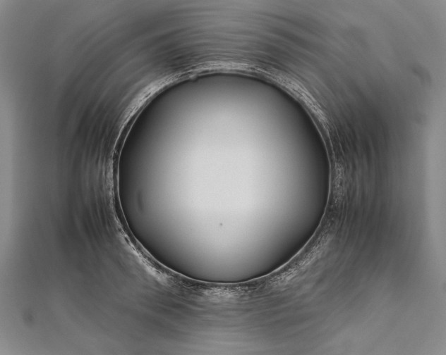 X0000112370898200908271315