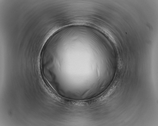 X0000112370899200908271315