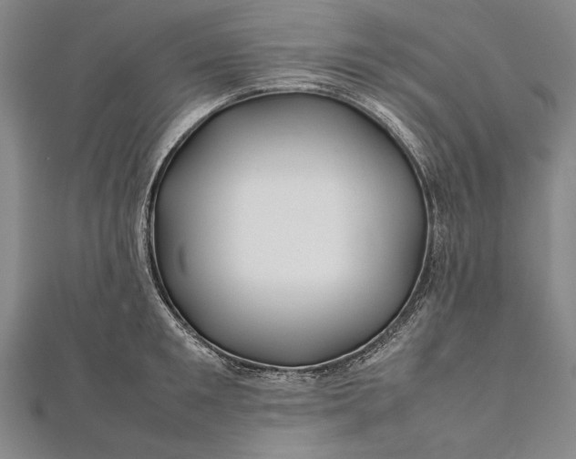 X0000112370901200908271315