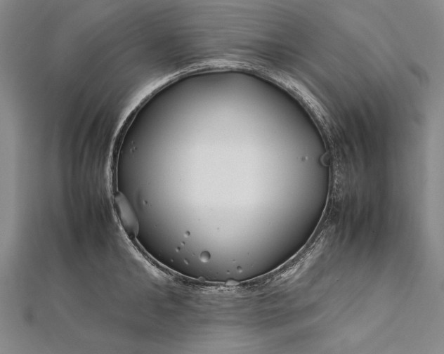 X0000112370902200908271315