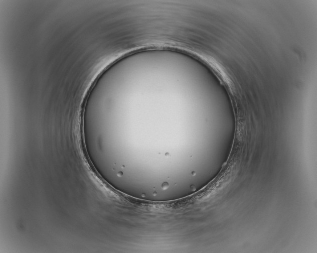 X0000112370903200908271315