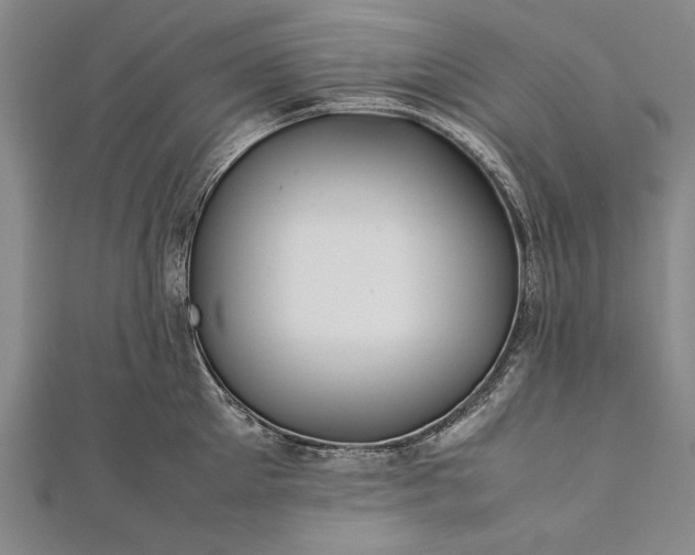 X0000112370905200908271315