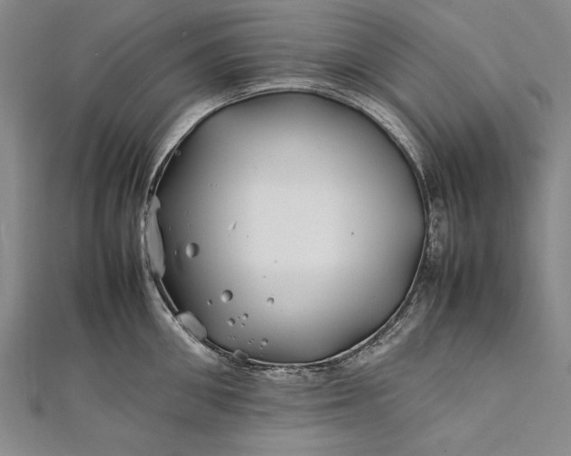 X0000112370906200908271315