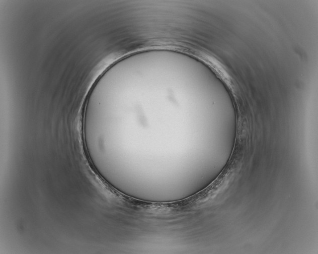 X0000112370907200908271315