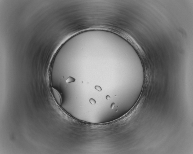 X0000112370908200908271315