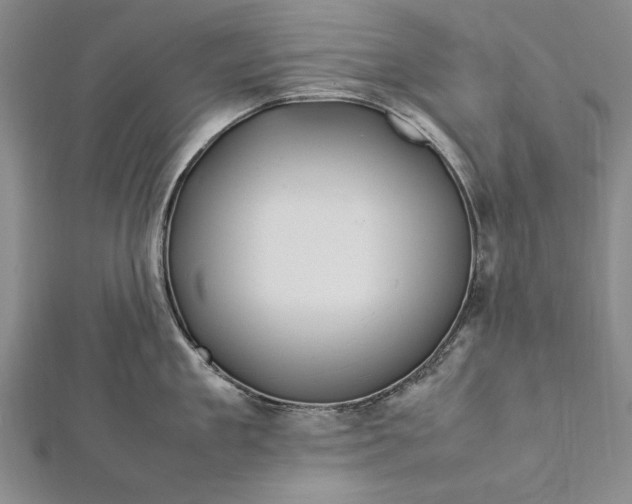 X0000112370909200908271315