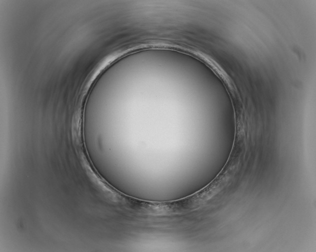 X0000112370911200908271315