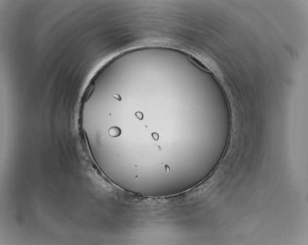 X0000112370912200908271315