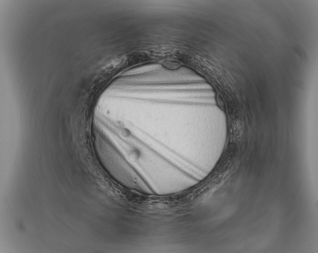 X0000112370913200908271314