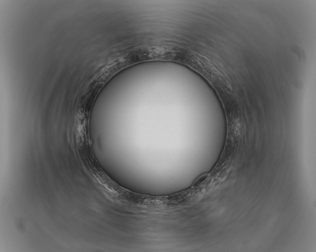 X0000112370914200908271314